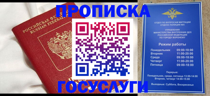 прописка в квартире в Сертолово